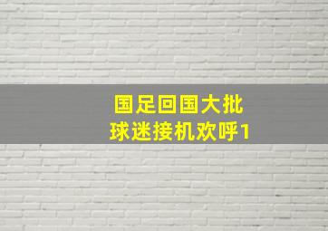 国足回国大批球迷接机欢呼1