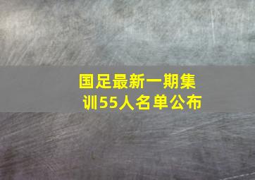 国足最新一期集训55人名单公布