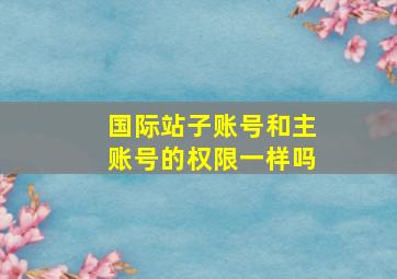 国际站子账号和主账号的权限一样吗