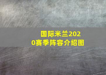 国际米兰2020赛季阵容介绍图