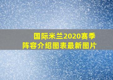 国际米兰2020赛季阵容介绍图表最新图片