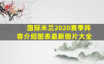 国际米兰2020赛季阵容介绍图表最新图片大全