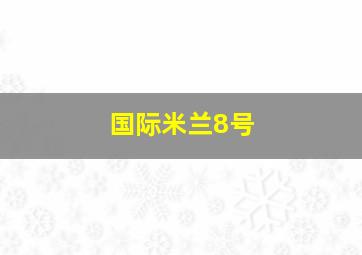 国际米兰8号