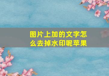 图片上加的文字怎么去掉水印呢苹果