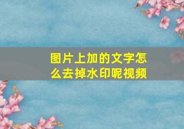 图片上加的文字怎么去掉水印呢视频