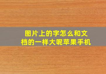 图片上的字怎么和文档的一样大呢苹果手机