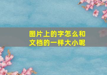 图片上的字怎么和文档的一样大小呢