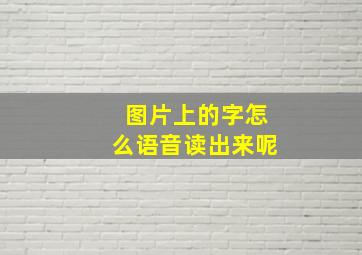 图片上的字怎么语音读出来呢