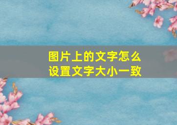 图片上的文字怎么设置文字大小一致