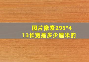 图片像素295*413长宽是多少厘米的