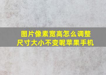 图片像素宽高怎么调整尺寸大小不变呢苹果手机