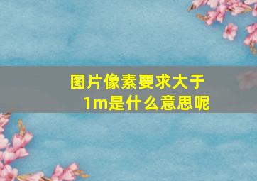 图片像素要求大于1m是什么意思呢