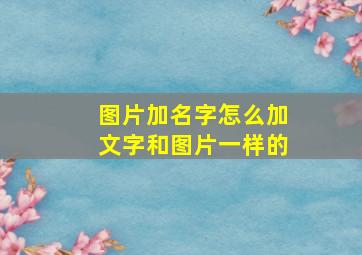 图片加名字怎么加文字和图片一样的