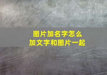 图片加名字怎么加文字和图片一起