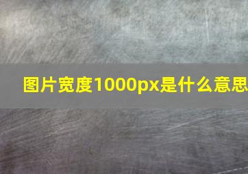 图片宽度1000px是什么意思