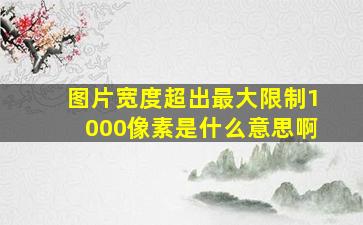 图片宽度超出最大限制1000像素是什么意思啊