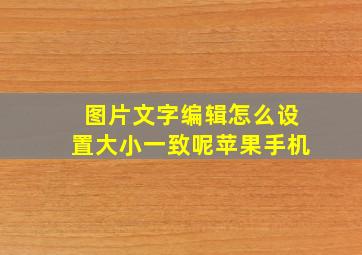 图片文字编辑怎么设置大小一致呢苹果手机