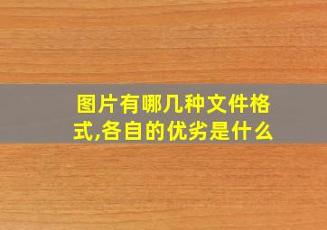 图片有哪几种文件格式,各自的优劣是什么