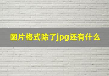 图片格式除了jpg还有什么