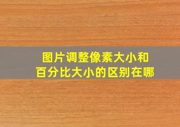 图片调整像素大小和百分比大小的区别在哪