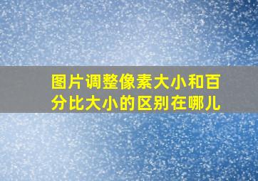 图片调整像素大小和百分比大小的区别在哪儿