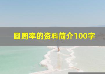 圆周率的资料简介100字