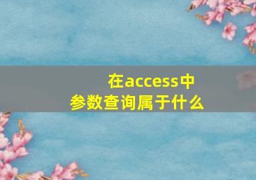 在access中参数查询属于什么