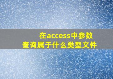 在access中参数查询属于什么类型文件