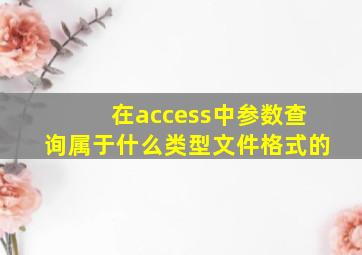 在access中参数查询属于什么类型文件格式的