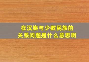 在汉族与少数民族的关系问题是什么意思啊