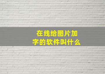 在线给图片加字的软件叫什么