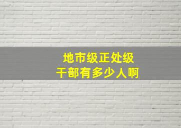 地市级正处级干部有多少人啊