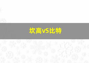 坎高vS比特