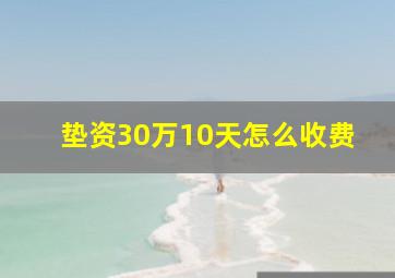 垫资30万10天怎么收费