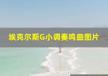 埃克尔斯G小调奏鸣曲图片