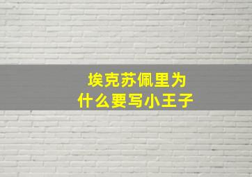 埃克苏佩里为什么要写小王子