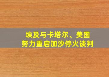 埃及与卡塔尔、美国努力重启加沙停火谈判