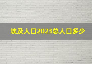 埃及人口2023总人口多少