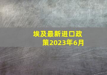 埃及最新进口政策2023年6月