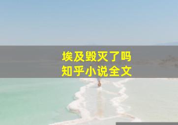 埃及毁灭了吗知乎小说全文