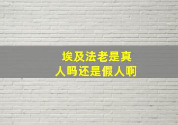 埃及法老是真人吗还是假人啊