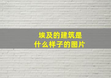 埃及的建筑是什么样子的图片