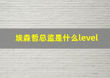 埃森哲总监是什么level