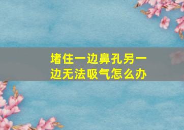 堵住一边鼻孔另一边无法吸气怎么办