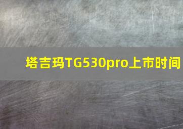 塔吉玛TG530pro上市时间