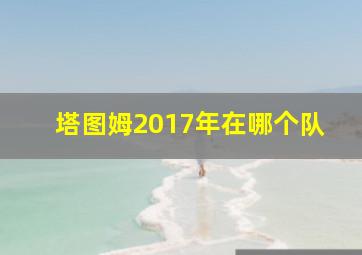 塔图姆2017年在哪个队