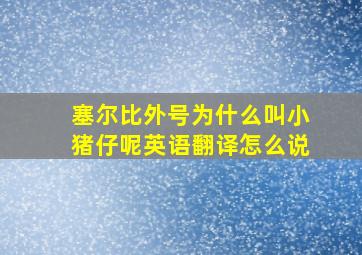 塞尔比外号为什么叫小猪仔呢英语翻译怎么说