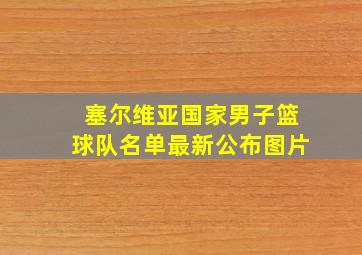 塞尔维亚国家男子篮球队名单最新公布图片