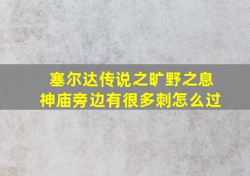 塞尔达传说之旷野之息神庙旁边有很多刺怎么过