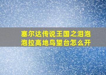 塞尔达传说王国之泪泡泡拉高地鸟望台怎么开